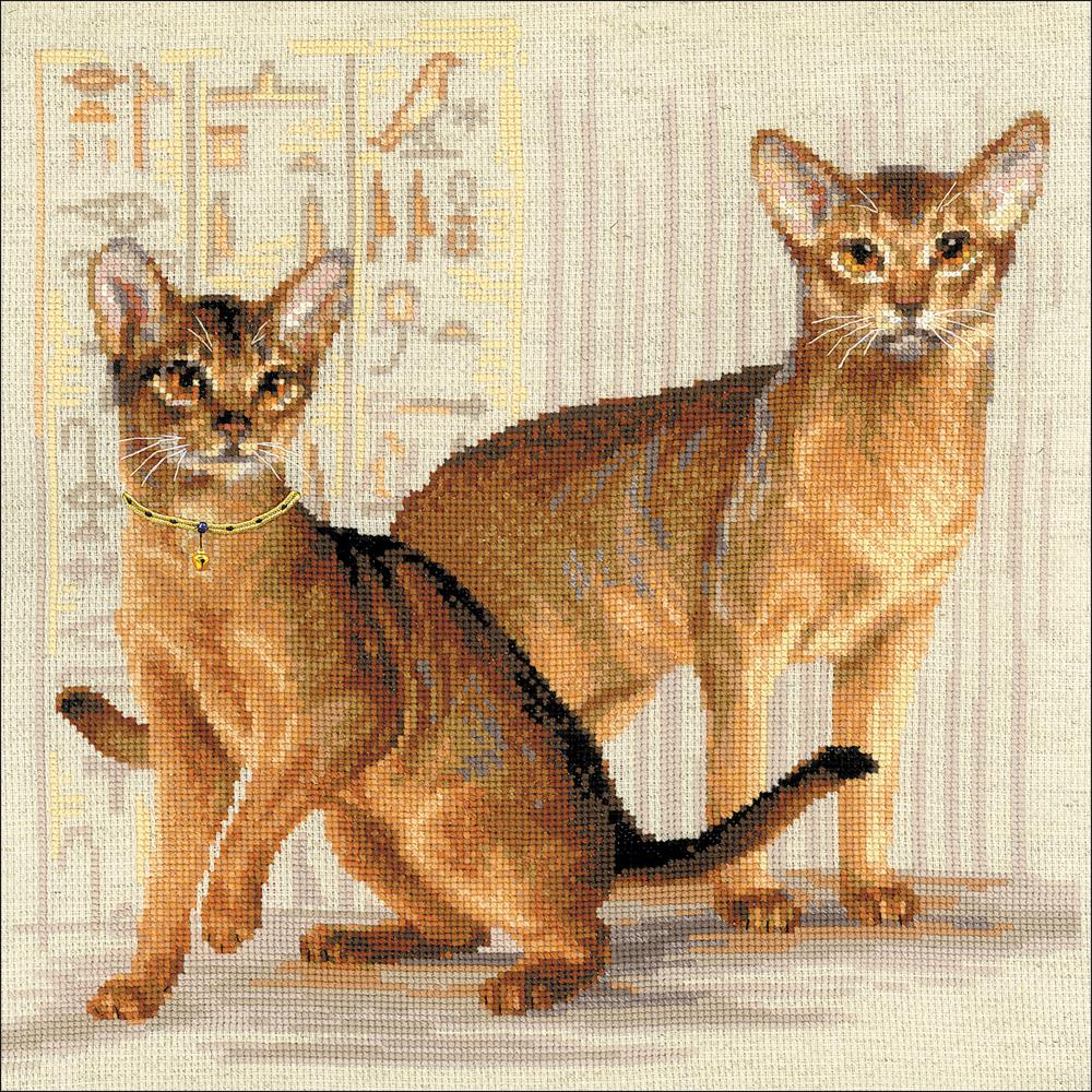 Abyssinian Cats (10 Count)